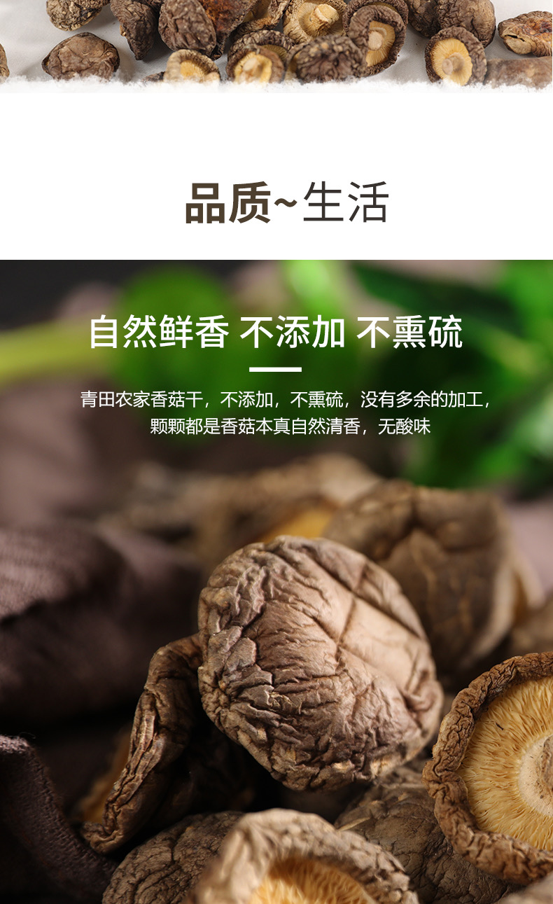 初衷金钱菇250g(图5)