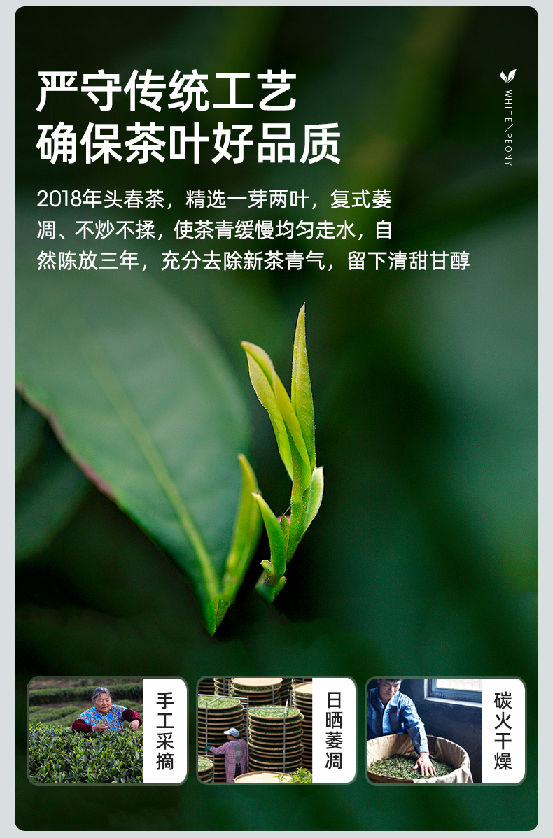 艺福堂白牡丹茶100g(图5)