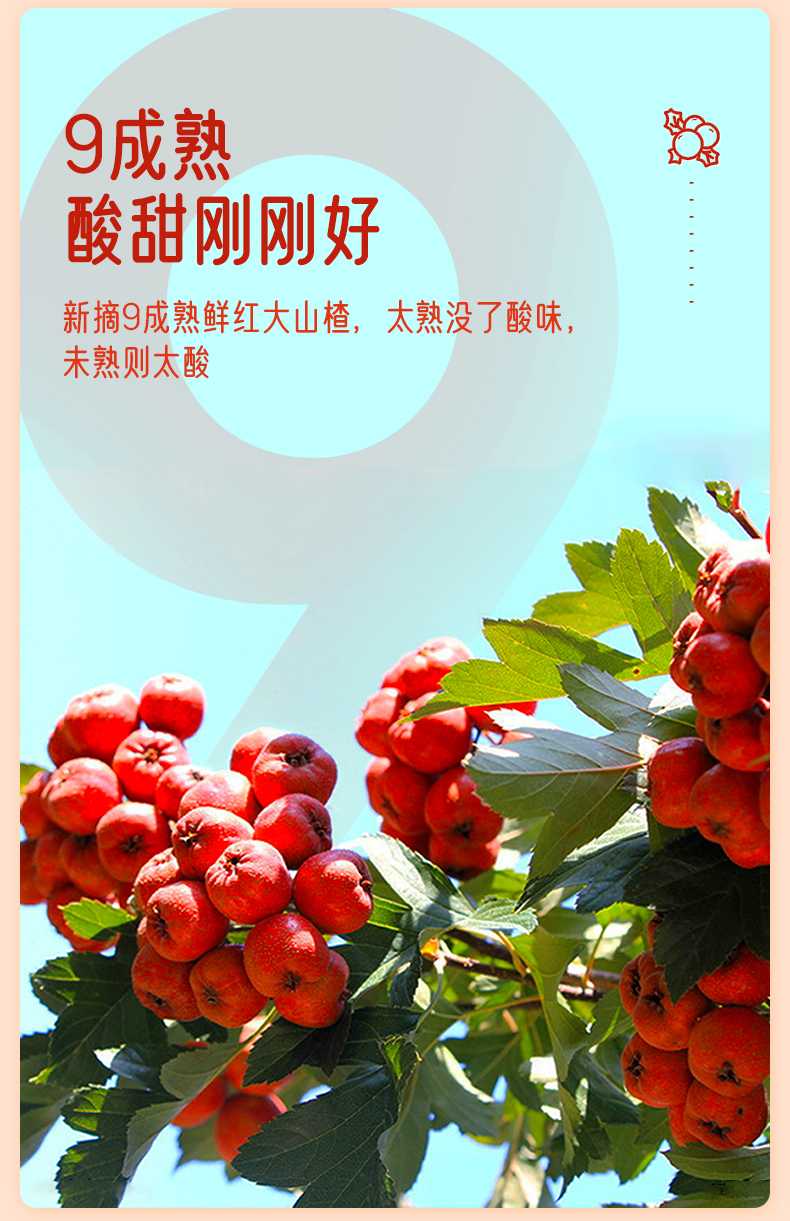 艺福堂山楂干190g(图5)